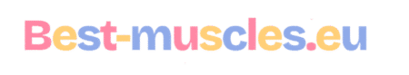 best-muscles.eu